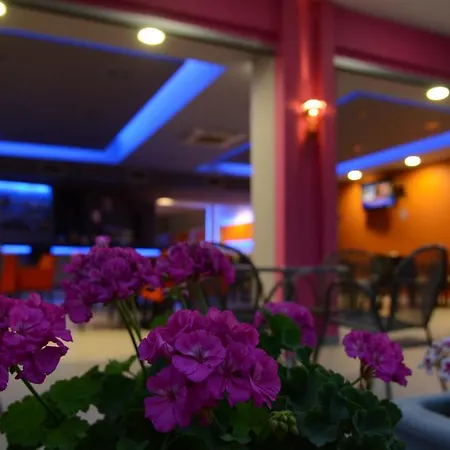 Papanikolaou Neochori (Zacharo)