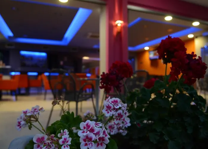 招待所 Papanikolaou