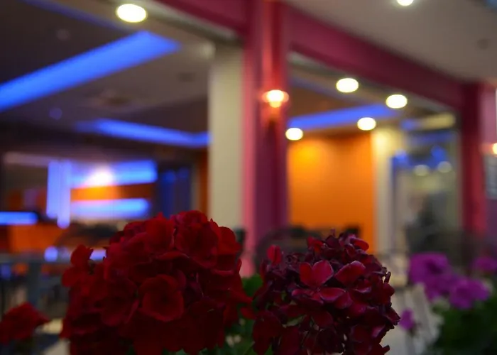 게스트하우스 Papanikolaou 3*