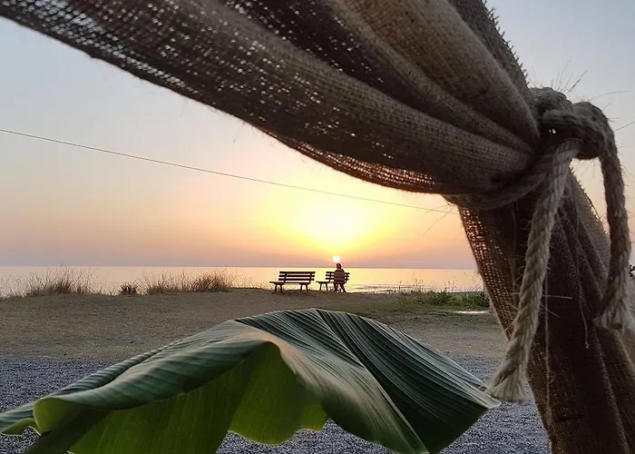 招待所 Papanikolaou